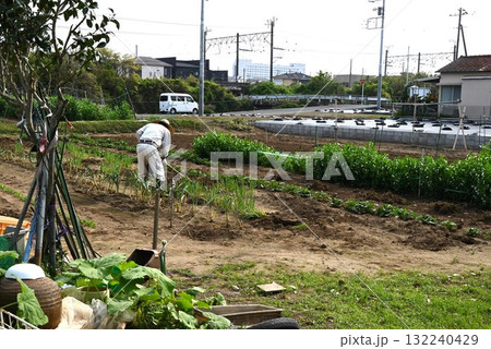 高齢者の農作業風景・後継者不足・社会問題 132240429