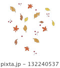 落ち葉のイラスト 132240537