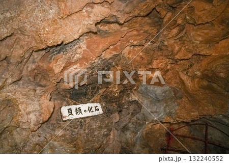 郡上鍾乳洞(岐阜県郡上市)洞内 郡上鍾乳洞(岐阜県郡上市)洞内 132240552