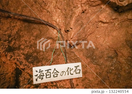 郡上鍾乳洞（岐阜県郡上市）洞内 132240554