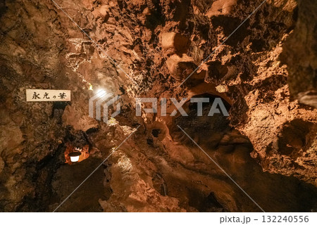 郡上鍾乳洞（岐阜県郡上市）洞内 132240556