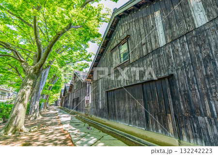 山形県酒田市 新緑が美しい春の山居倉庫 山形県酒田市 新緑が美しい春の山居倉庫 132242223