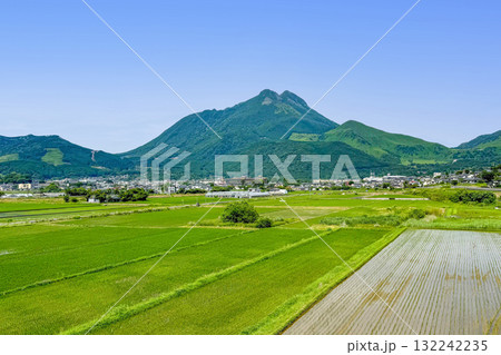 6月の湯布院 由布岳と水田 6月の湯布院 由布岳と水田 132242235