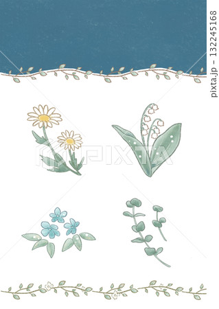 お花や植物モチーフのイラスト&フレームセット（マーガレット、すずらん、ブルースター、ユーカリ） 132245168