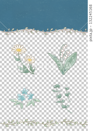 お花や植物モチーフのイラスト&フレームセット（マーガレット、すずらん、ブルースター、ユーカリ） 132245168