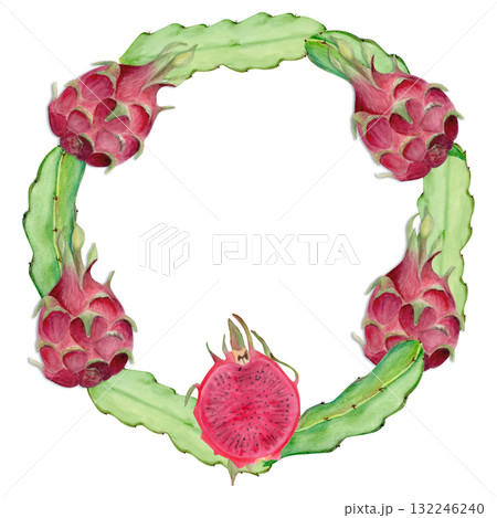 Dragon fruit, cactus leaf hand-painted watercolor wreath isolated on white. Tropical exotic fruit artwork, perfect for botanical prints, cards, packaging design, healthy food concepts, summer decor. 132246240