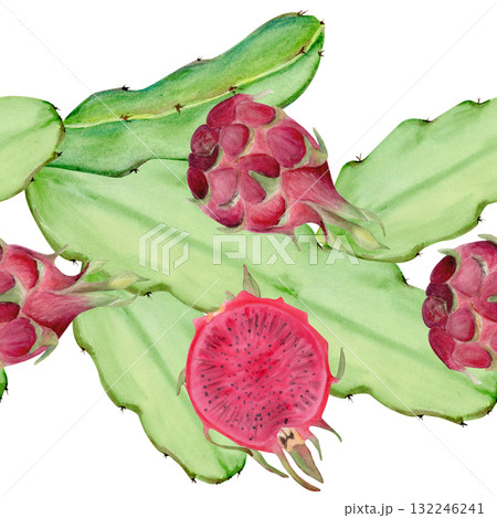 Dragon fruit, cactus stems seamless watercolor border isolated on white. Tropical clip art perfect for fabric, packaging, summer design, healthy food branding. Hand-painted textured illustration 132246241