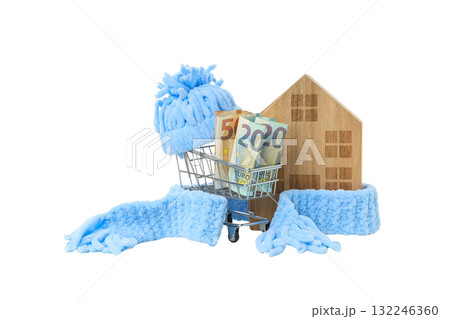 Budgeting for heating expenses during cold months, isolated, PNG Budgeting for heating expenses during cold months, isolated, PNG 132246360