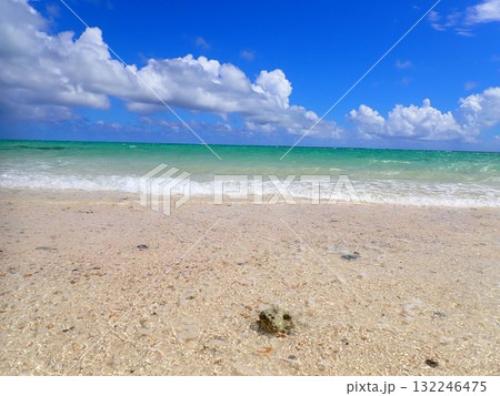夏の浜島 夏の浜島 132246475
