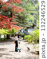 紅葉の下を歩く女性 132246529