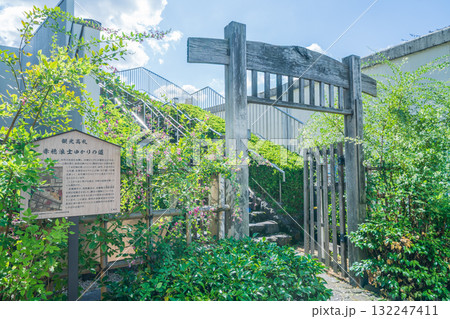 「東京都」芭蕉庵史跡展望庭園の風景　江東区 132247411