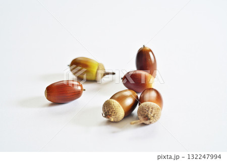 熟した茶色いコナラの実（秋、十月）、（白背景） 132247994
