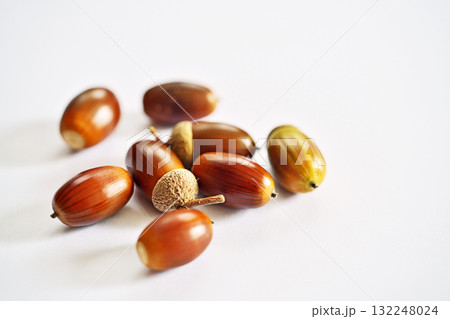 熟した茶色いコナラの実（秋、十月）、（白背景） 132248024