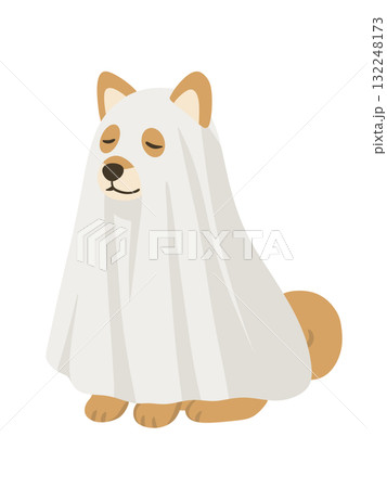ハロウィンのお化けのシーツをかぶって仮装させられている柴犬のイラスト 132248173