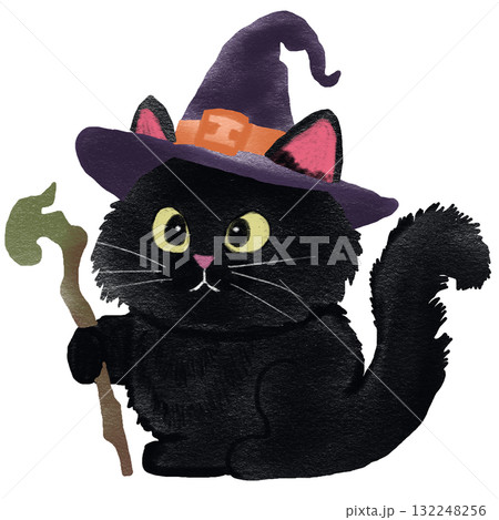 Cute Black Cat Witch with Hat and Staff Cute Black Cat Witch with Hat and Staff 132248256