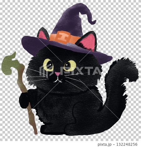 Cute Black Cat Witch with Hat and Staff 132248256