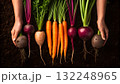 Freshly harvested colorful vegetables displayed on dark soil 132248965