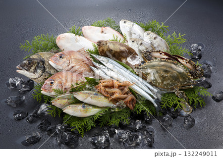 新鮮な瀬戸内の海産物 集合イメージ 新鮮な瀬戸内の海産物 集合イメージ 132249011