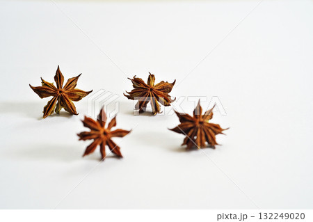 地面に落下後、1日乾燥したシキミの実（秋、十月） 132249020