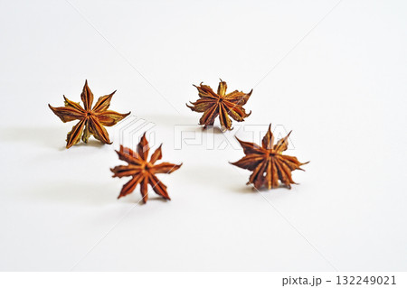 地面に落下後、1日乾燥したシキミの実（秋、十月） 132249021