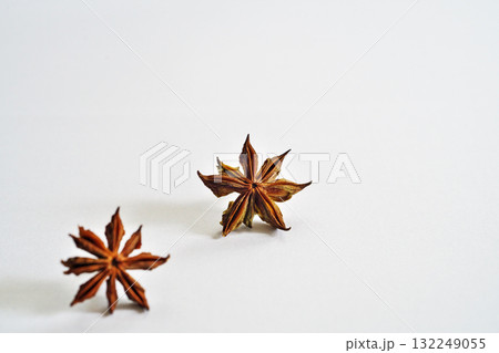 地面に落下後、1日乾燥したシキミの実（秋、十月） 132249055