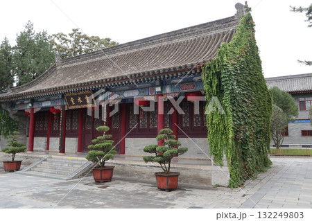 シルクロードの起点　中国西安市大慈恩寺の大雁塔 132249803