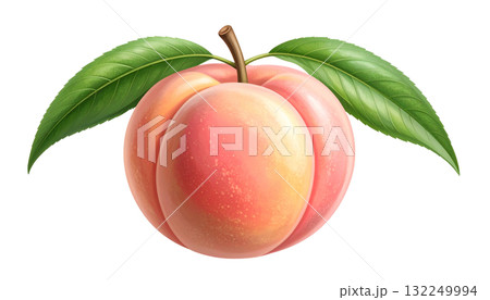 桃のイラスト 桃のイラスト 132249994