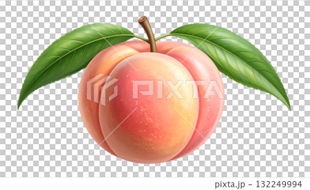 桃のイラスト 桃のイラスト 132249994