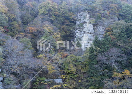 塔のへつりの紅葉 132250115