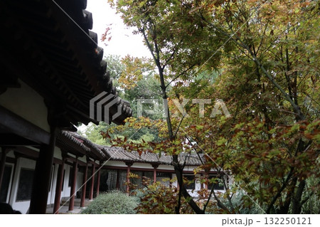 シルクロードの起点 中国西安市青龍寺の境内の風景 シルクロードの起点 中国西安市青龍寺の境内の風景 132250121