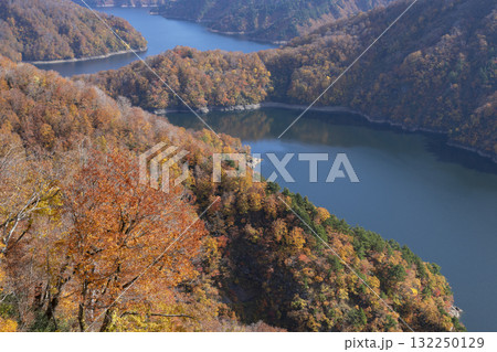 田子倉ダム湖の紅葉 132250129
