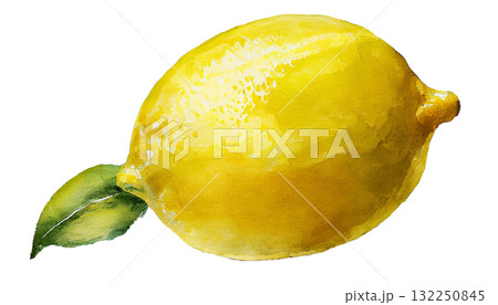 レモンのイラスト素材 132250845