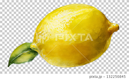 レモンのイラスト素材 132250845