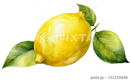 レモンのイラスト素材 132250846