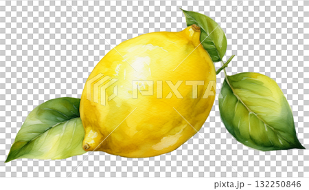 レモンのイラスト素材 132250846