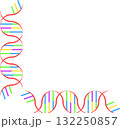DNA　カラフル　医療　デザイン　イラスト 132250857