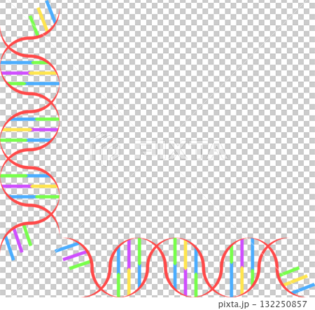 DNA colorful medical design illustration DNA colorful medical design illustration 132250857