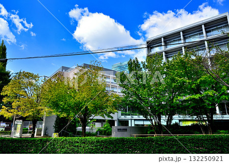 國學院大學博物館 國學院大學博物館 132250921