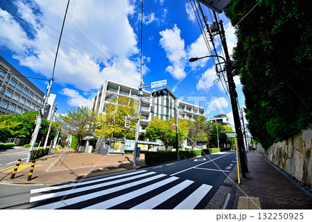 國學院大學博物館 國學院大學博物館 132250925