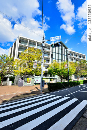 國學院大學博物館 國學院大學博物館 132250926