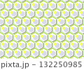 可愛い和柄素材　亀甲 132250985