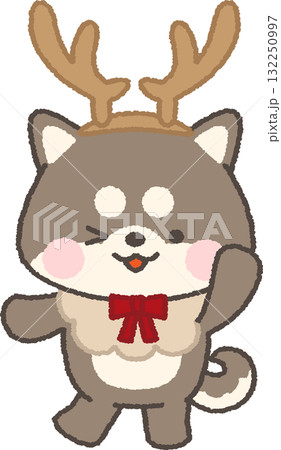 トナカイカチューシャをつけた黒柴 トナカイカチューシャをつけた黒柴 132250997