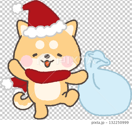 一隻戴著聖誕帽、手裡拿著禮物袋的紅色柴犬 132250999