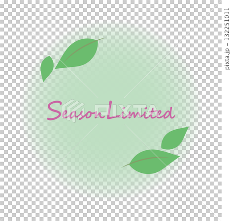 Spring/Summer Seasonal Limited Edition Round Frame Material - Green 132251011