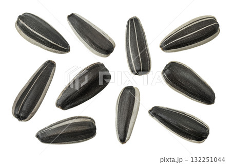 Sunflower seeds isolated on white background. Top view. Flat lay Sunflower seeds isolated on white background. Top view. Flat lay 132251044