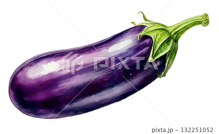 茄子の水彩イラスト 132251052