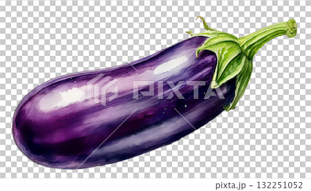 茄子の水彩イラスト 132251052