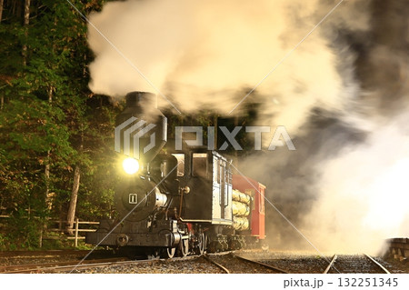 赤沢森林鉄道のボールドウィン蒸気機関車 132251345