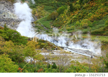 玉川温泉　玉川温泉園地自然研究路 132251713