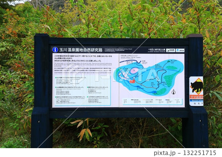玉川温泉　玉川温泉園地自然研究路 132251715